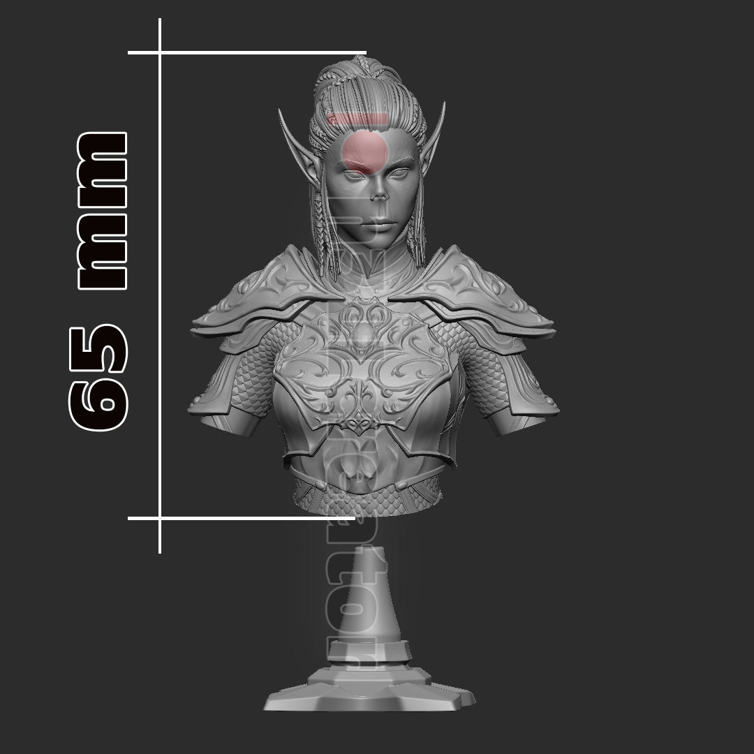 Lae Zel Bust | Baldur's Gate 3 (fan art) | Resin 3d Printed | High Detail and Quality