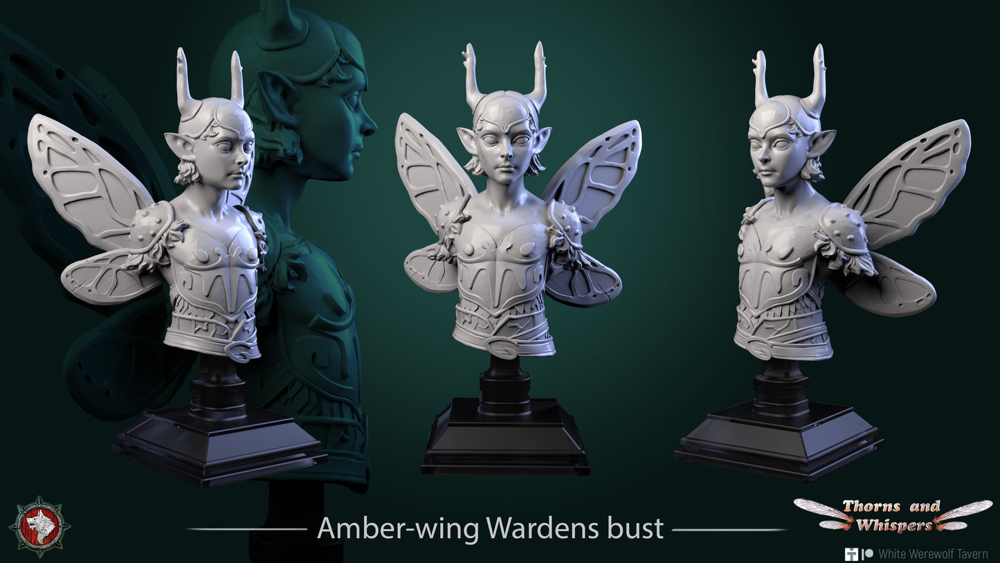 Amber Wing Warden Bust - Resin Bust based of Fantasy tabletop gaming / DnD/Pathfinder/Etc