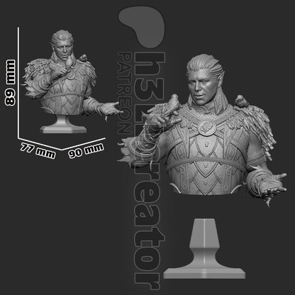 Halsin Bust | Baldur's Gate 3 | Resin 3d Printed | High Detail and Quality