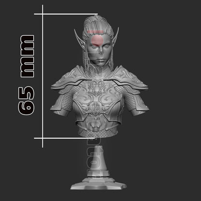 Lae Zel Bust | Baldur's Gate 3 (fan art) | Resin 3d Printed | High Detail and Quality
