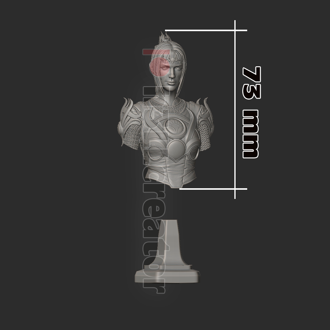 Shadowheart Bust | Baldur's Gate 3 (fan art) | Resin 3d Printed | High Detail and Quality