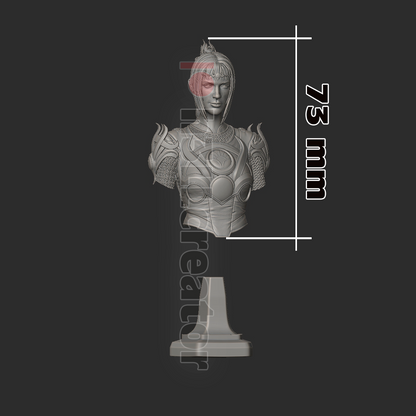 Shadowheart Bust | Baldur's Gate 3 (fan art) | Resin 3d Printed | High Detail and Quality