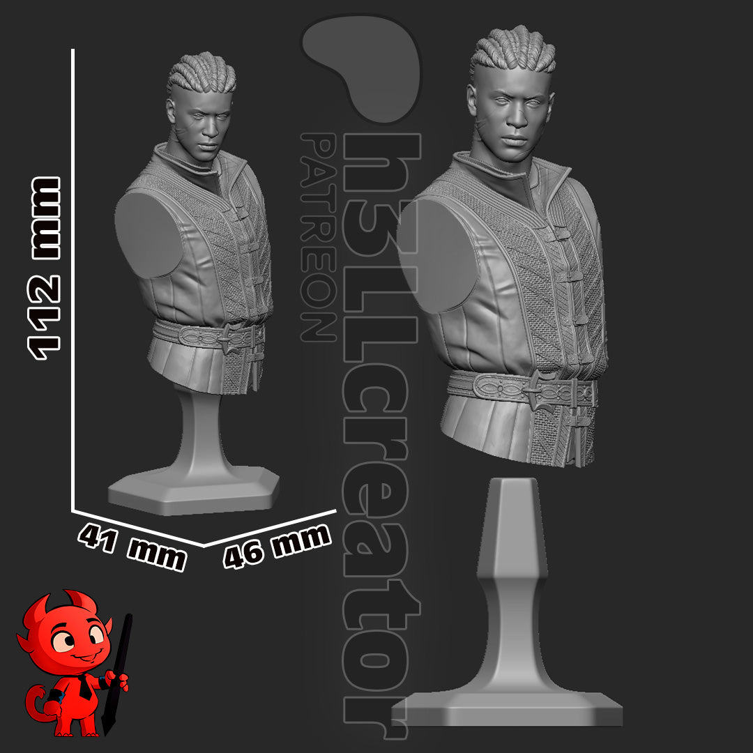 Wyll Bust | Baldur's Gate 3 (fan art) | Resin 3d Printed | High Detail and Quality