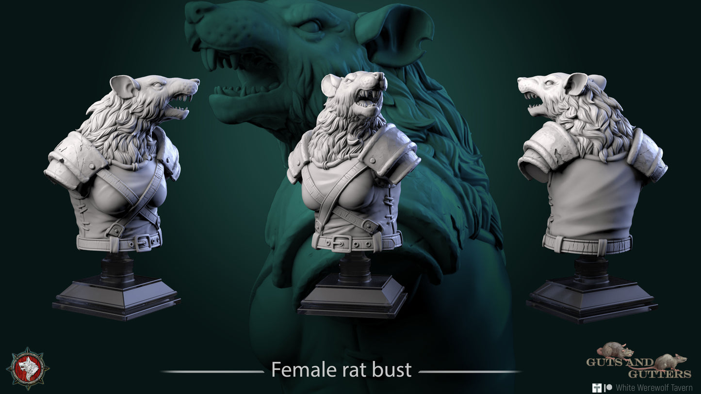 Female Rat Bust - Resin Bust based of Fantasy tabletop gaming / DnD/Pathfinder/Etc