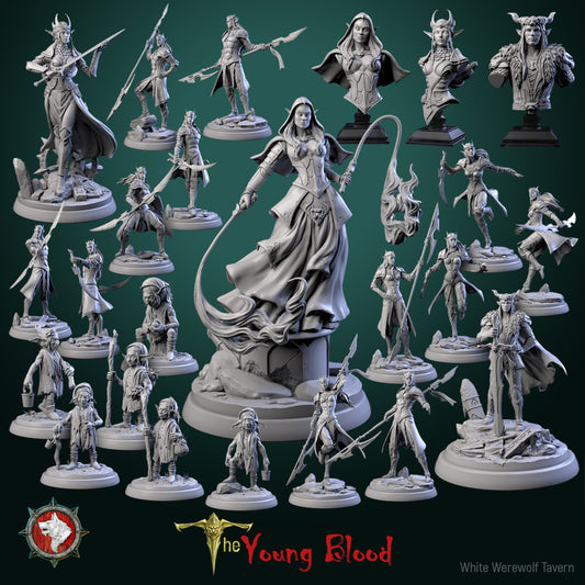 Dungeons and Dragons Models - The Young Blood - Set by White Werewolf Tavern