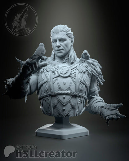 Halsin Bust | Baldur's Gate 3 | Resin 3d Printed | High Detail and Quality
