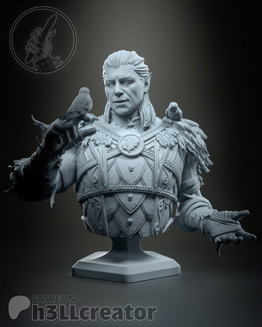 Halsin Bust | Baldur's Gate 3 | Resin 3d Printed | High Detail and Quality