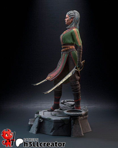 Jaheira | 3D Printed Resin Model | Unpainted or Hand-Painted