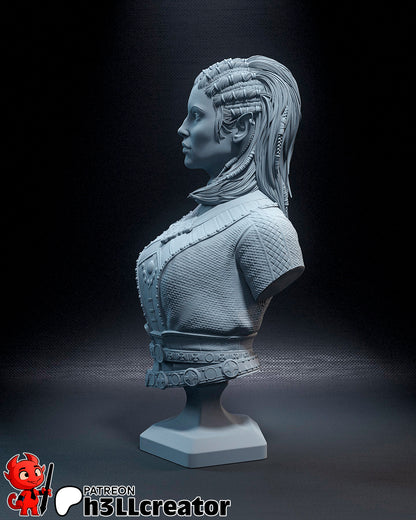 Jaheira | 3D Printed Resin Model | Unpainted or Hand-Painted