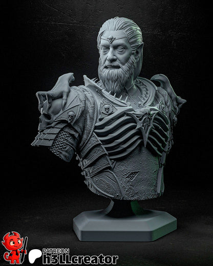 Ketheric Bust | Baldur's Gate 3 (fan art) | Resin 3d Printed | High Detail and Quality