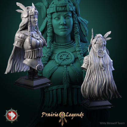 Dungeons and Dragons Models - Prairie Legends - Set by White Werewolf Tavern