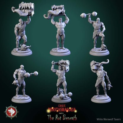 Dungeons and Dragons Models - Cirque Phantasmagoria / The Rot Beneath - Set by White Werewolf Tavern