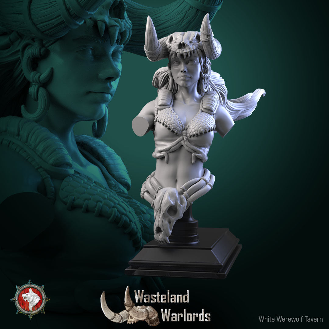 Dungeons and Dragons Models - Wasteland Warlords - Set by White Werewolf Tavern